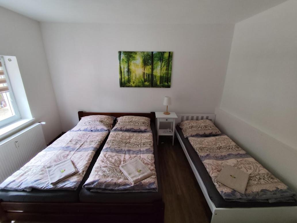 Apartman Terezka Jílové 外观 照片