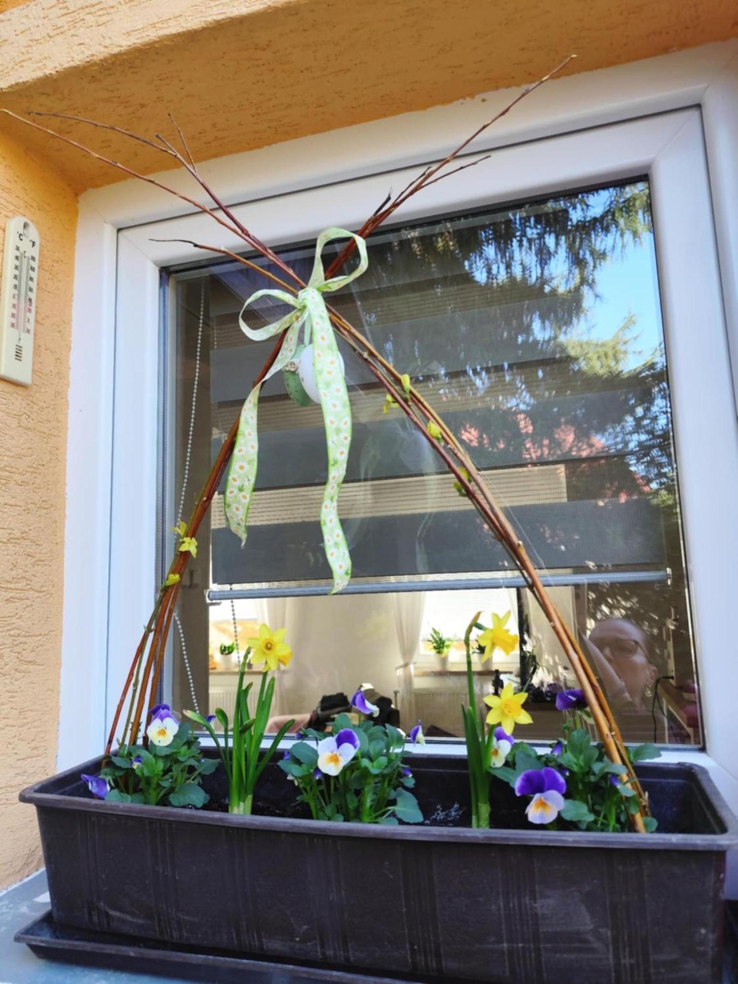 Apartman Terezka Jílové 外观 照片